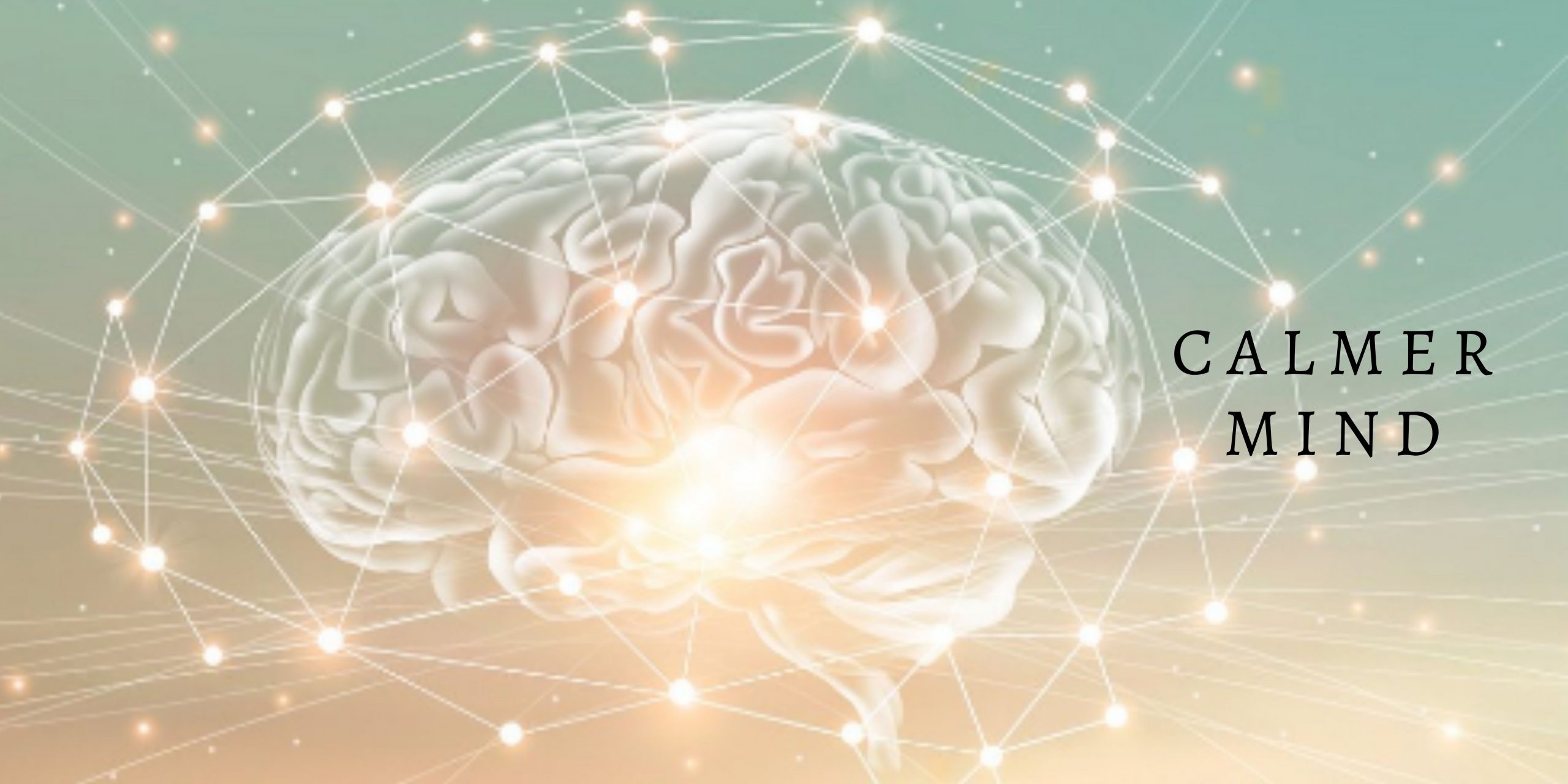 CalmerMindLogo